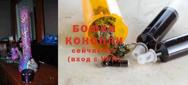 бошки Бронницы