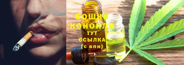 мескалин Богородицк