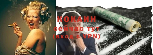 бошки Бронницы