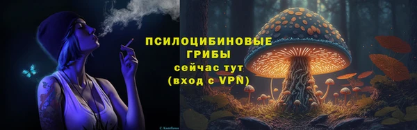бошки Бронницы