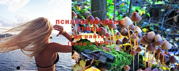 мескалин Богородицк