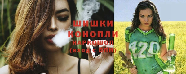 бошки Бронницы