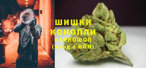 крисы Бугульма