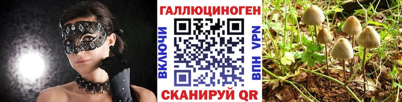 Галлюциногенные грибы ЛСД Верхняя Пышма