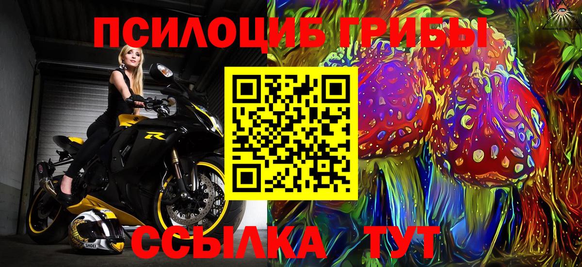 закладки  Псилоцибиновые грибы Psilocybine cubensis  Псилоцибиновые грибы Psilocybe  Вход с VPN  Верхняя Пышма 